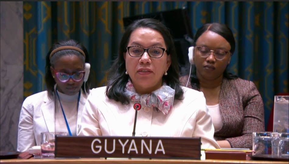 Her Excellency Carolyn Rodrigues-Birkett