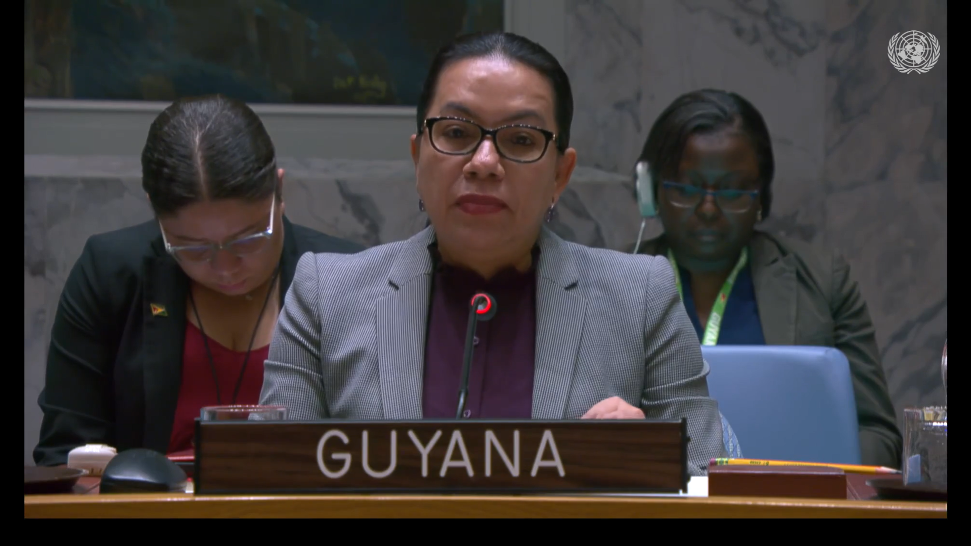 Amb. Carolyn Rodrigues Birkett delivering statement at UNSC Meeting on Resolution 2474 (missing persons in armed conflict)