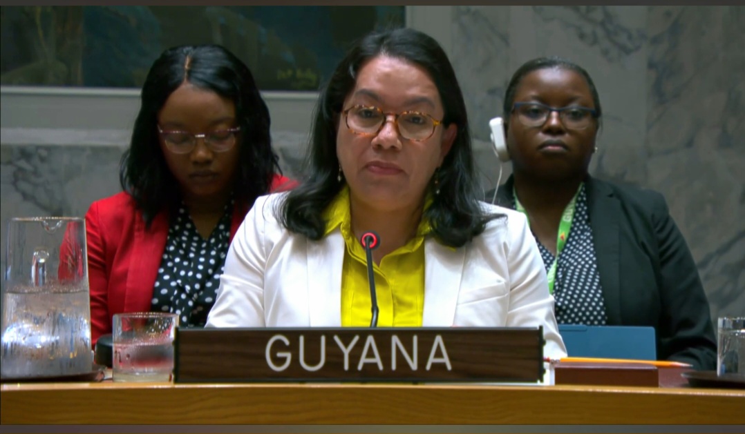 H.E. Carolyn Rodrigues-Birkett 