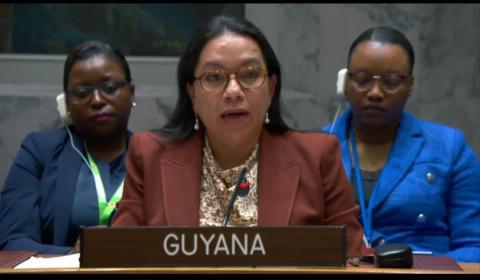 Amb. Carolyn Rodrigues Birkett delivering statement at UNSC Meeting on Palestine