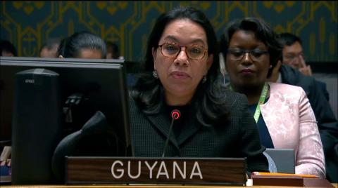 Her Excellency Carolyn Rodrigues-Birkett