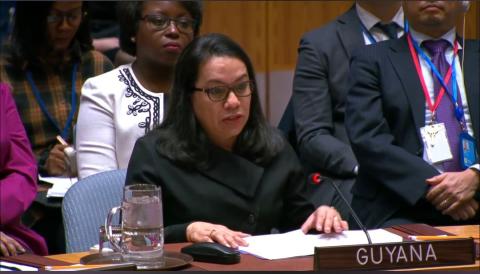 Her Excellency Carolyn Rodrigues-Birkett