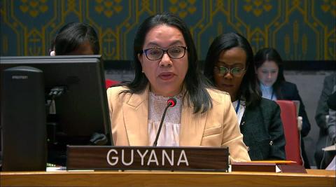 H.E. Carolyn Rodrigues-Birkett