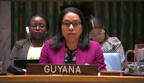 Her Excellency Carolyn Rodrigues-Birkett