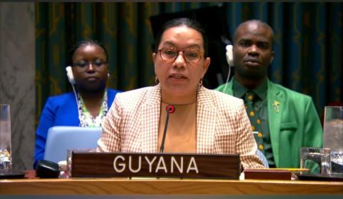 H.E. Carolyn Rodrigues-Birkett