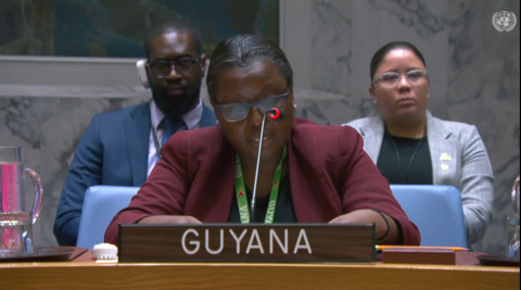 Minister Counsellor delivering statement during Briefing on Ukraine