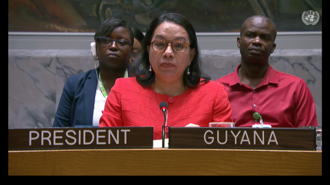 Amb. Carolyn Rodrigues Birkett delivering statement at UNSC Meeting on Palestine