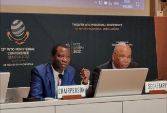 THE 12TH MINISTERIAL CONFERENCE (MC12) OF THE WORLD TRADE ORGANISATION (WTO